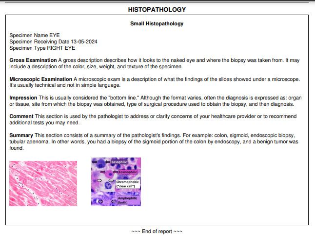 Labsmart histopathology software report format image