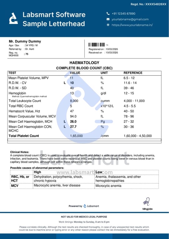 sample lab report without QR
