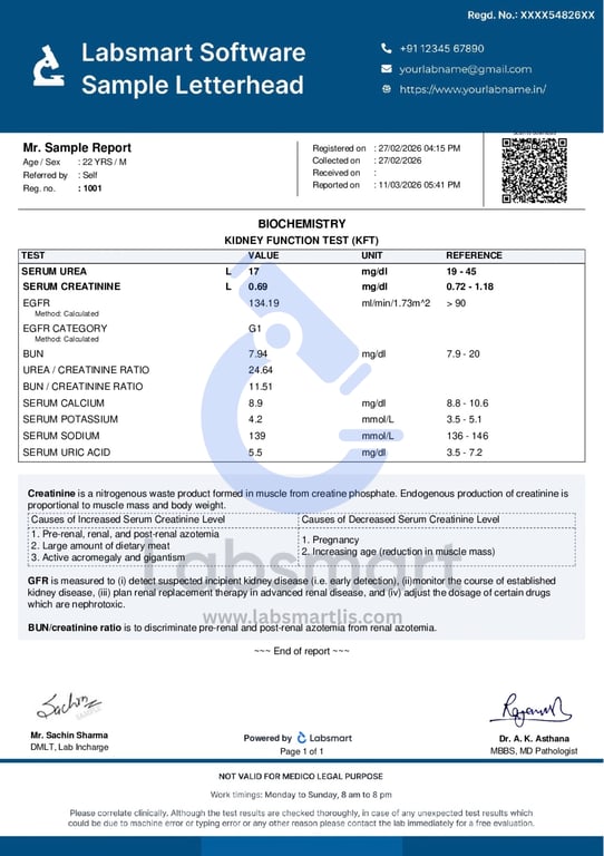 sample lab report version 2